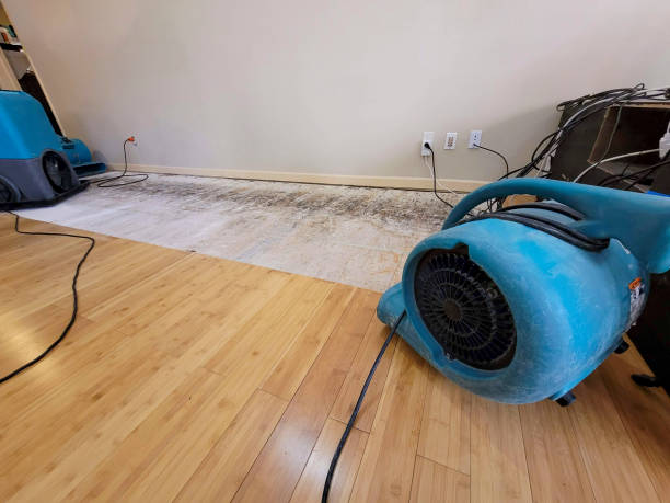 Professional Basement Flood Cleanup technician working in Lamont, CA